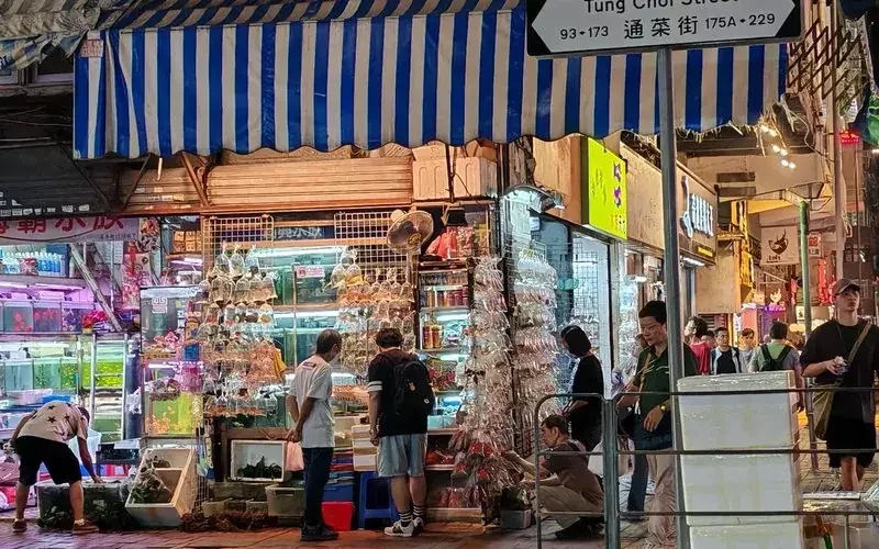 Ladies Market shopping in Mong Kok, Hong Kong