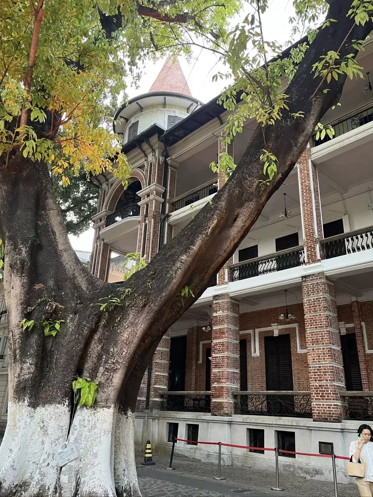 Historic mansion and banyan tree on Shamian Island in Guangzhou